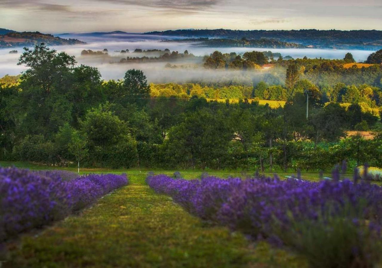 Lavanda Carasova Crasova Exterior photo